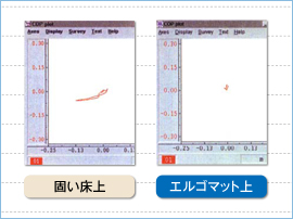 片足体重比較